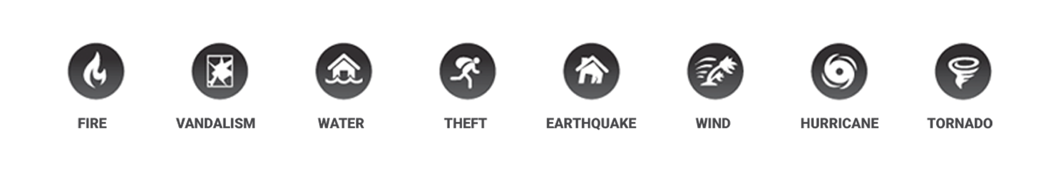disaster icons for fire, vandalism, water, theft, earthquake, wind, hurricane, and tornado